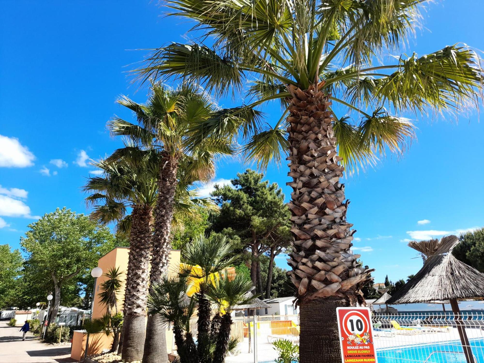 Camping Les Jardins D'Agathe - Maeva Le Grau-dʼAgde Kültér fotó